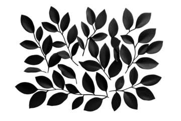 Elegant black leaves on branches arrangement, cut out transparent