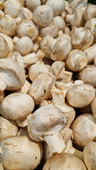 Sale of champignons in a supermarket. Champignons, close-up. Mushrooms in a store. A pile of champignons for sale at the market with selective focus