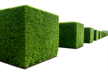 green grass blocks
