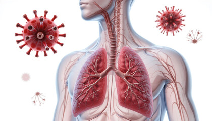 A stark portrayal of a virus attacking human lungs, highlighting the vulnerability of the respiratory system with detailed anatomical accuracy.
