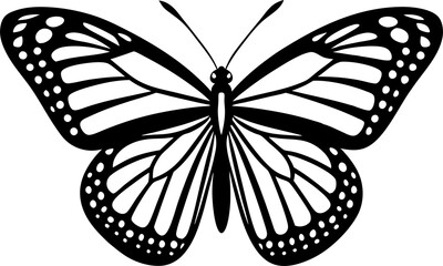 black butterfly isolated on white
