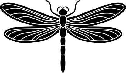 dragonfly on white background