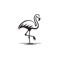 vector illustration of a flamingo