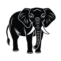 elephant vector illustration