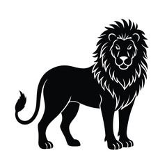 lion vector illustration