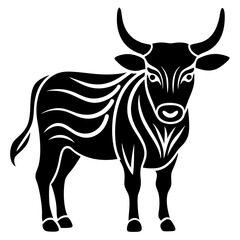 black and white bull
