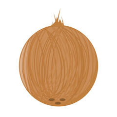 coconut shell. coconut. tropical fruit. vector illustration. agriculture