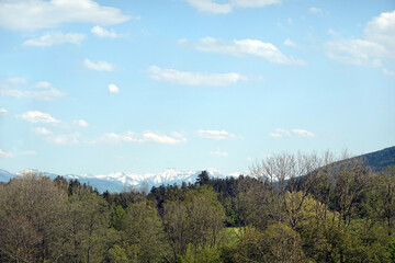 Beautiful countryside landscape with alpine forests and high mountains with snow caps far away under blue sky with clouds on bright sunny day