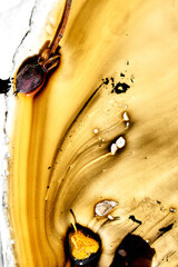 Golden ink wave with dried plant details and organic splashes. Abstract composition with motion and...