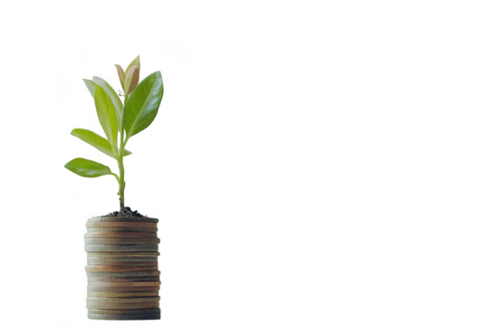 Small plant growing out of a stack of coins on a transparent background
