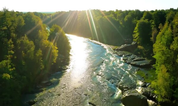 Serene river winding through lush greenery under a bright sun in nature