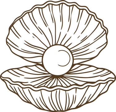 recommend clip art: oyster shell with pearl illustration nautical treasure symbol, marine life, ocean gem concept