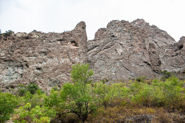 Rugged cliffs with lush vegetation creating a stunning natural canyon landscape