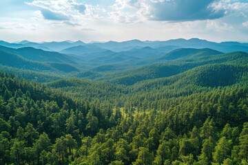 Obraz premium Aerial view of mountains and forest seen from a helicopter, showing lush greenery, towering peaks, and winding streams.