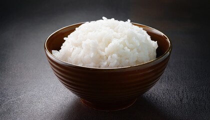 Perfectly Cooked Rice: A close-up shot showcases a bowl filled with perfectly cooked fluffy white rice, inviting a sense of culinary delight and simplicity. 