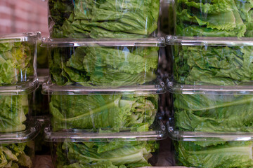 Stacks of square, clear plastic vegetable containers filled with lush green romaine lettuce leaves for sale at a grocery store. The organic produce has crisp ribbed green leaves in the packages.