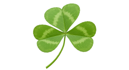 Isolated Shamrock Clover Leaf