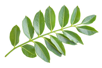 Naklejka premium A close up shot of a pile of cashews on a transparent background
