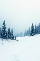 Naklejka premium Serene Winter Landscape Footprints in the Snow Leading Through a Frosty Evergreen Forest on a Misty Morning