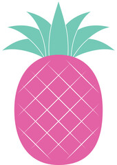Pink pineapple. Isolated vector illustration.