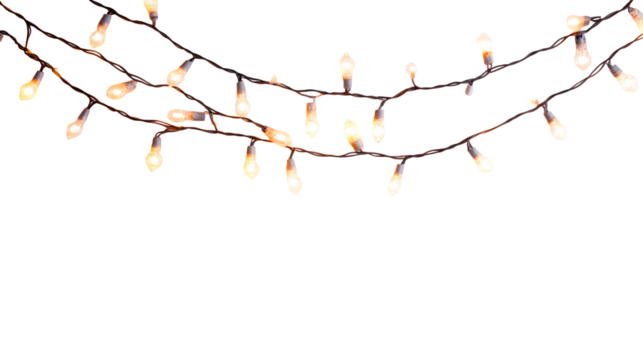 Holiday string lights on transparent background , cut out transparent