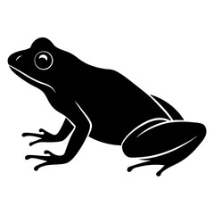 frog on a black background