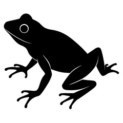 frog on white background