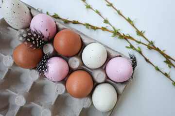 A beautifully arranged flat lay composition featuring a carton of pastel pink, white, and brown eggs, accompanied by delicate spotted feathers and fresh willow branches. 