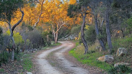 Fototapeta premium Winding path, autumn foliage, coastal sunset, travel brochure