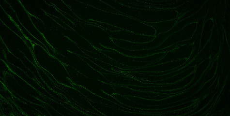 Ink Symphony: Embracing the Mystical Aura of Liquid Art in Oil