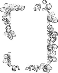 Frame with  orchid flowers, floral illustration for wedding event invitation Orchid flower and leaf hand drawn botanical illustration with line art