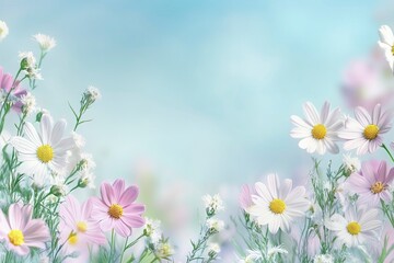 Fototapeta premium Blooming Daisies and Cosmos Flowers with a Soft Pastel Sky Background