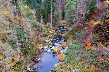 Black Forest, landscape with trees, small stream and reflections in autumn