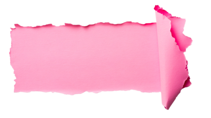 Torn vibrant pink paper with curled edge, detail design element, cut out transparent