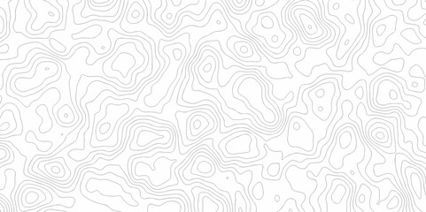 Abstract curve grid map and topo contour map on white background, Topographic contour lines. Seamless pattern with lines Topographic map. Geographic mountain relief diagram line wave carve design.