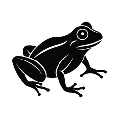 A cute green cartoon frog vector illustration, a happy amphibian isolated on white