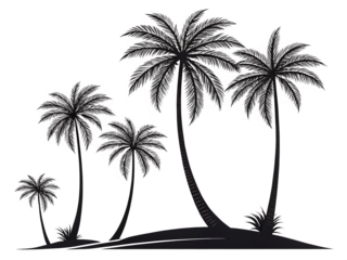 vector illustration of a tropical beach