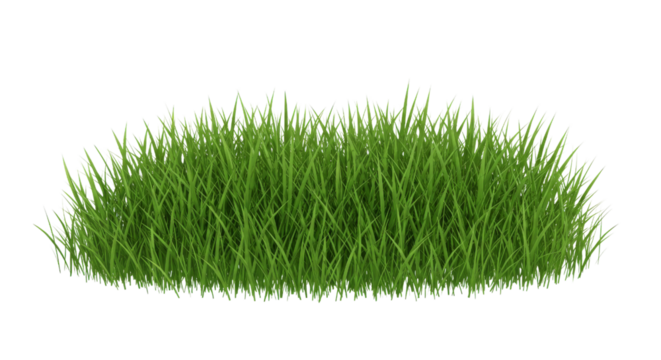 Green grass closeup image