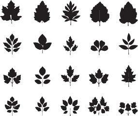 Set of leaves silhouettes isolated on white background