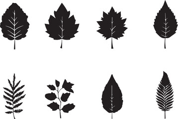 Set of autumn leaves black silhouette 