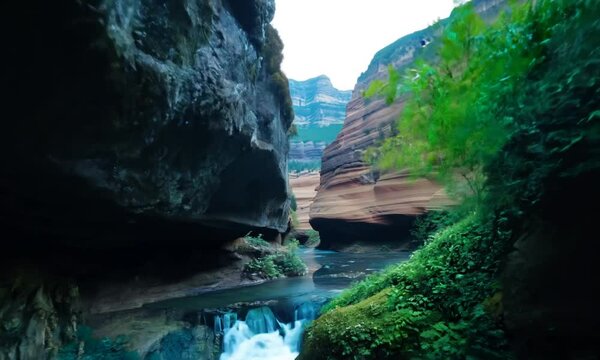 A narrow canyon with rocky walls and vegetation growing inside