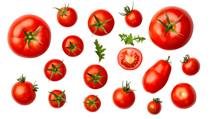 Variety of Fresh Tomatoes on Black Background, cut out transparent