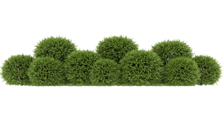 Abstract olive green shapes background