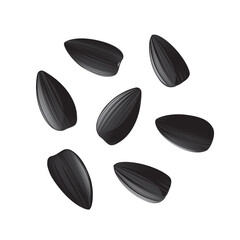 Sunflower seeds isolated, sun flower kernels vector icon. Realistic sun flower oil seeds, grains