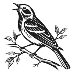 yellow warbler black silhouette icon vector