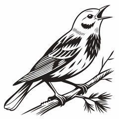 yellow warbler black silhouette icon vector