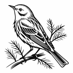 yellow warbler black silhouette icon vector