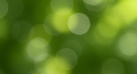 Obraz premium Soft green bokeh background gentle light summer. AI Generated