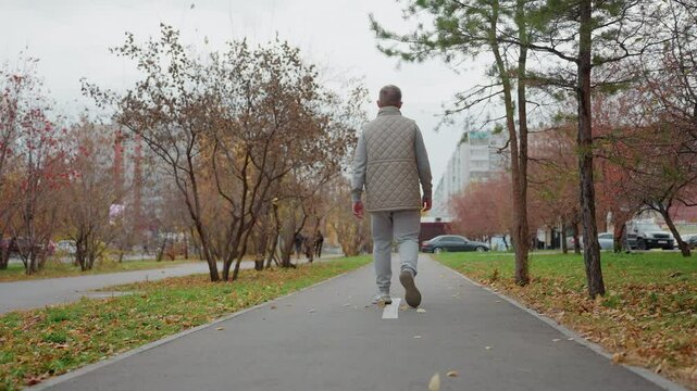 Back view of young boy walking alone on urban path during windy autumn day as dry foliage swirls on ground among trees in peaceful park with city buildings and parked cars in background
