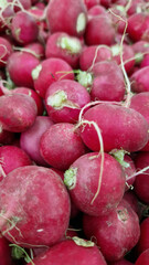 A pile of radishes for sale close-up. Farm produce. Agriculture. Vegetables. Fresh ripe radishes. Radishes stacked together for sale at a farmers market. Food market. Radish roots